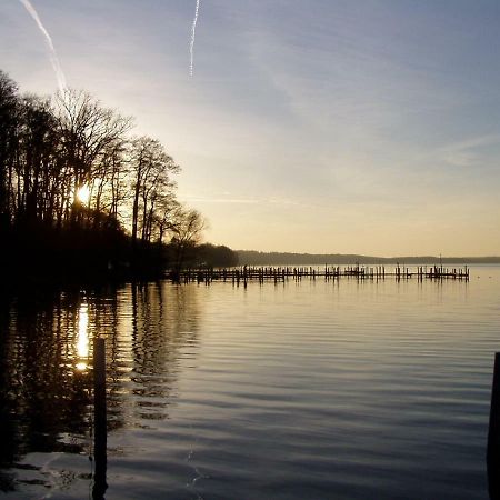 Ferienwohnungen Am Werbellinsee Schorfheide Exteriör bild